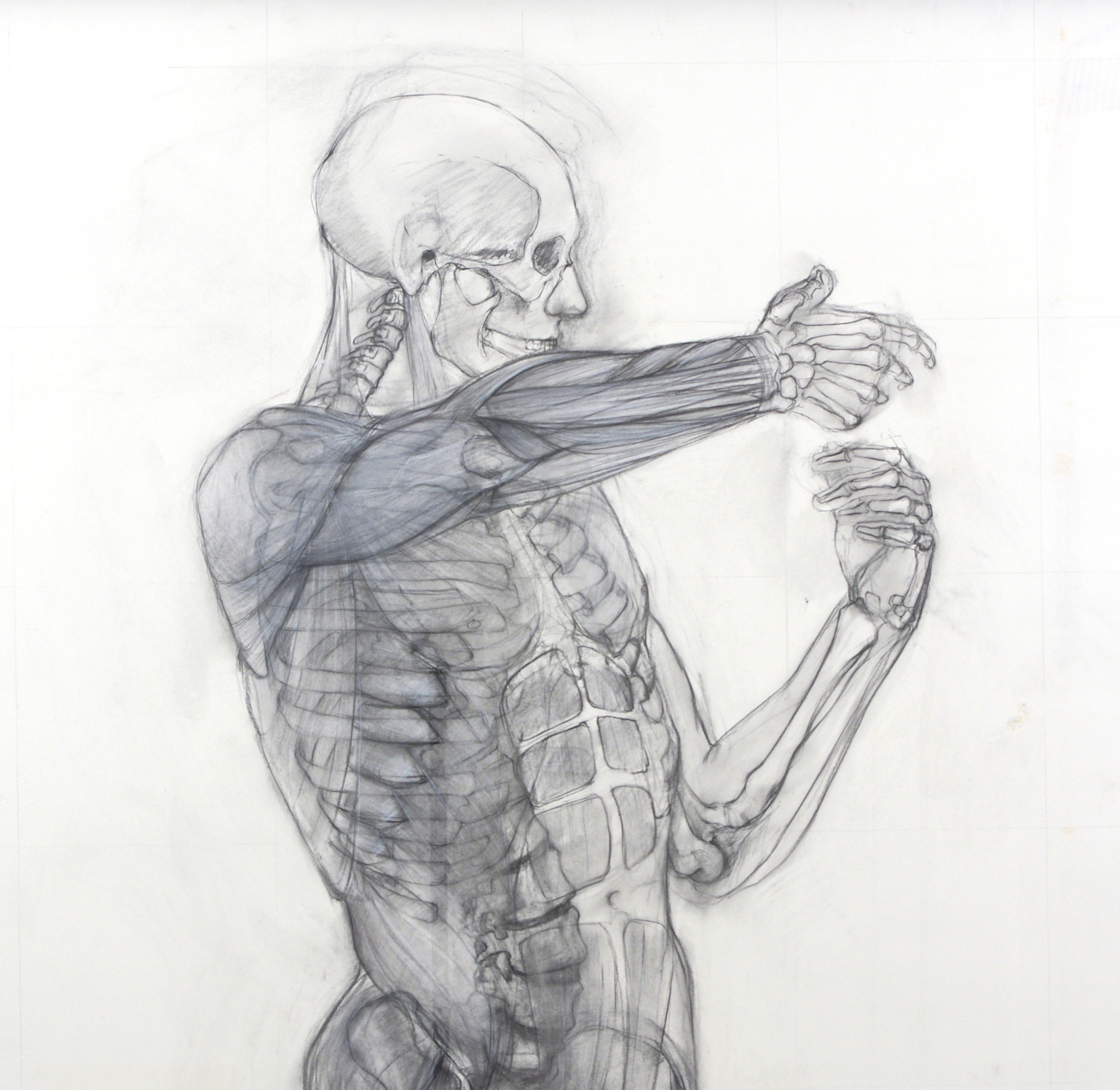 Jaye Gregory (1951- 2016) Pair of Life Sized Anatomical Studies