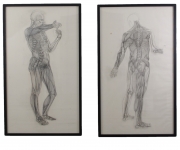 View 1: Jaye Gregory (1951- 2016) Pair of Life Sized Anatomical Studies