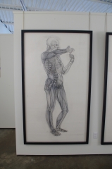 View 2: Jaye Gregory (1951- 2016) Pair of Life Sized Anatomical Studies