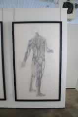View 3: Jaye Gregory (1951- 2016) Pair of Life Sized Anatomical Studies