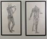 View 14: Jaye Gregory (1951- 2016) Pair of Life Sized Anatomical Studies